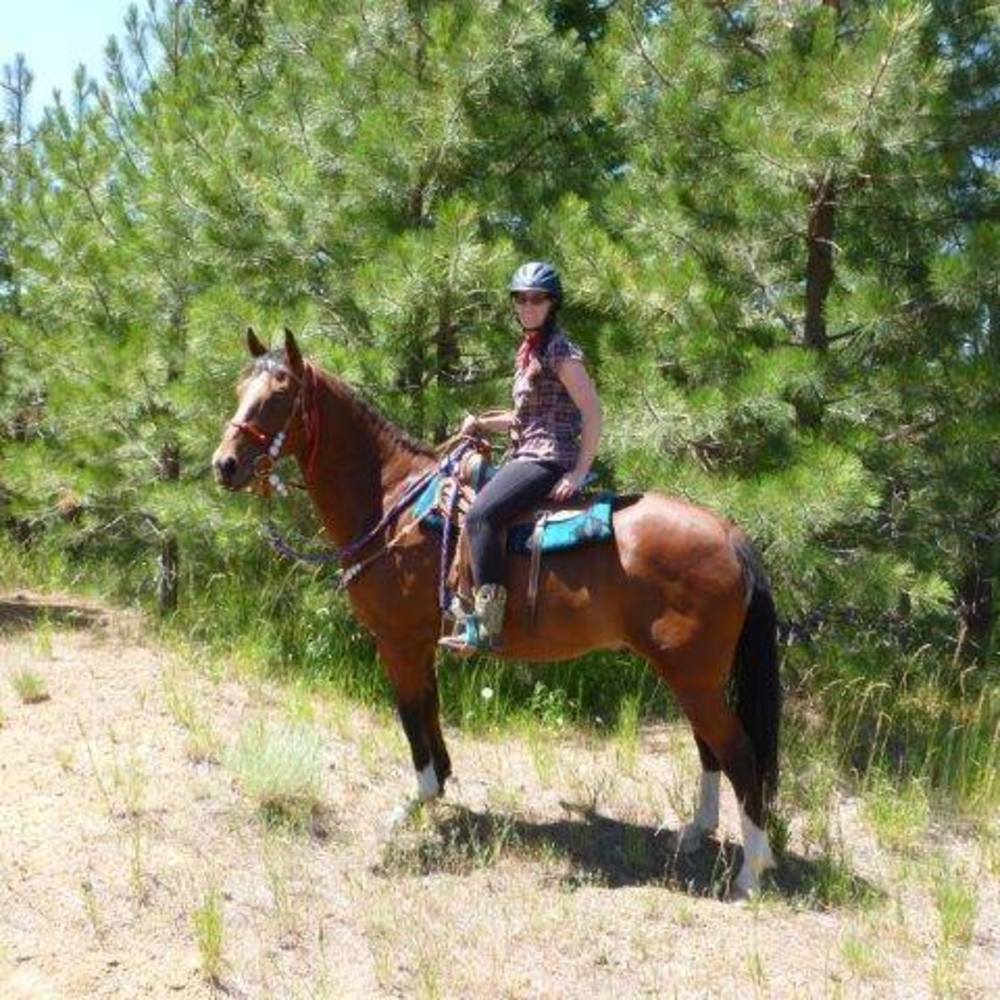 Meet your Posher, Megan